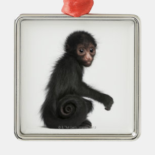 Red-faced Spider Monkey - Ateles paniscus (3 Metal Ornament