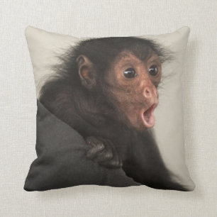 Red-faced Spider Monkey Ateles paniscus) Cushion