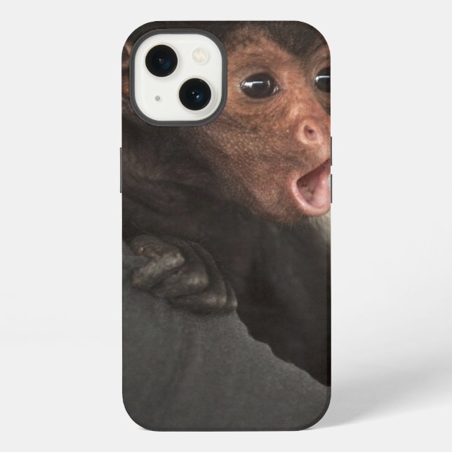 Red-faced Spider Monkey Ateles paniscus) iPhone Case (Back)