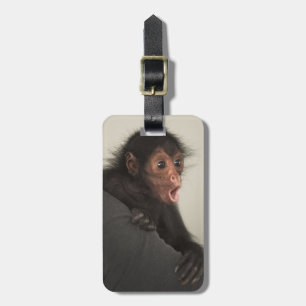 Red-faced Spider Monkey Ateles paniscus) Luggage Tag