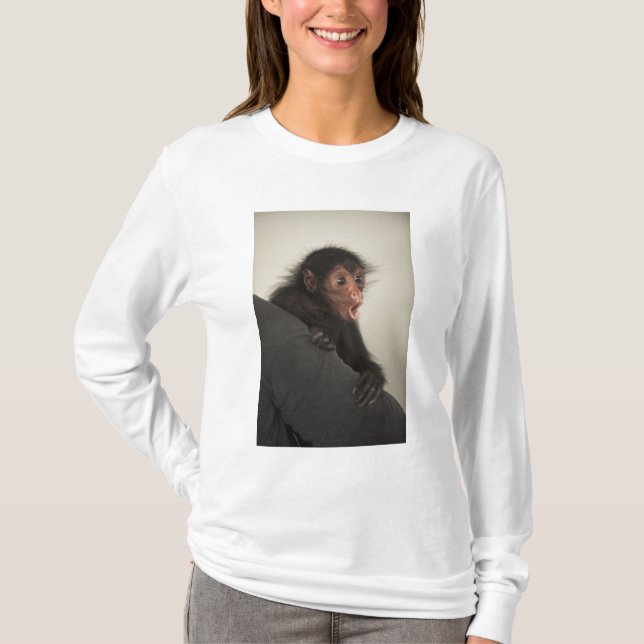 Red-faced Spider Monkey Ateles paniscus) T-Shirt (Front)