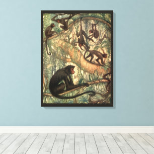 Red Faced Spider Monkeys by Louis Sargent Canvas Print