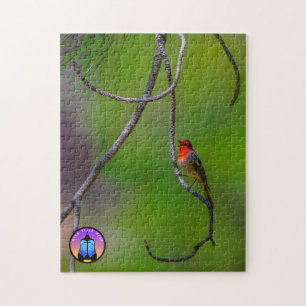 Red-faced Warbler Jigsaw Puzzle 