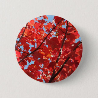Red Fall 6 Cm Round Badge