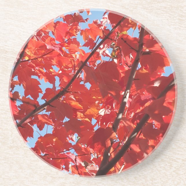 Red Fall Coaster (Front)