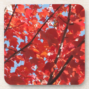 Red Fall Coaster