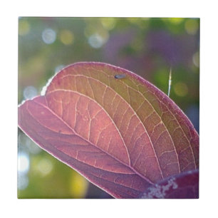 Red Fall Leaf And Bokeh Ceramic Tile