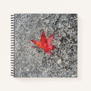 Red fall leaf in rain on grey textured road notebook
