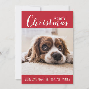Red  Family Pet Photo  Merry Christmas Holiday Card