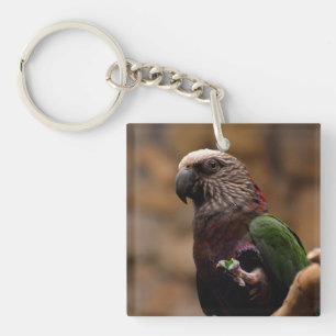 Red Fan Parrot Key Ring