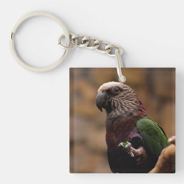 Red Fan Parrot Key Ring (Front)