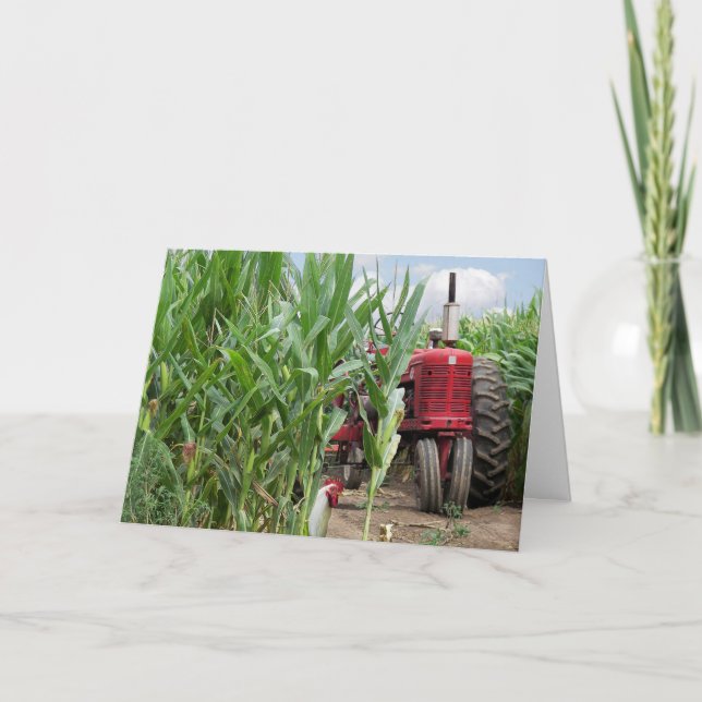 Red Farm Tractor in a Cornfield Birthday Card (Front)