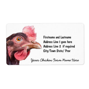 Red Feathered Chicken Egg Layer Hen