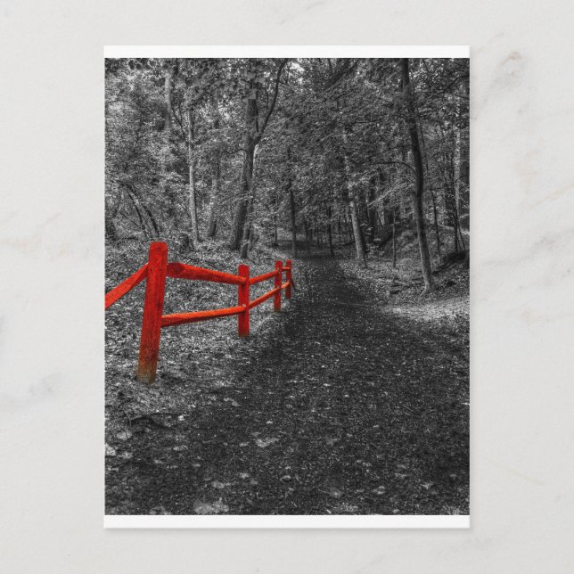 Red Fence Postcard (Front)