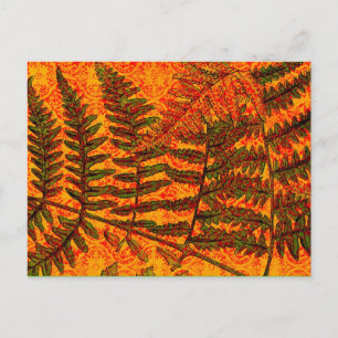 Red Fern postcard
