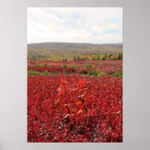 Red Field Poster