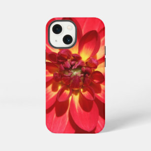 Red Fire Dahlia Flower iPhone 13 Mini Case