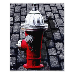 Red Fire Hydrant NYC Illustration Photo Print