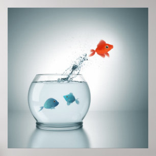 red fish jumping poster