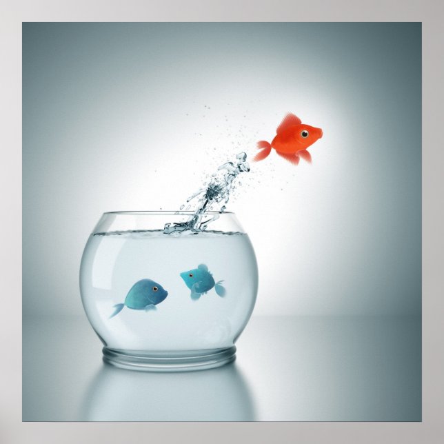 red fish jumping poster (Front)