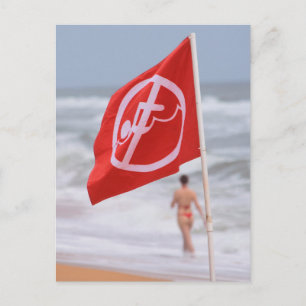 Red Flag on the Beach -- Florida Postcard
