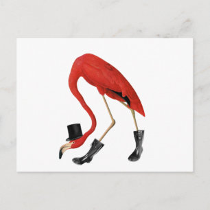 red flamingo in the hat postcard