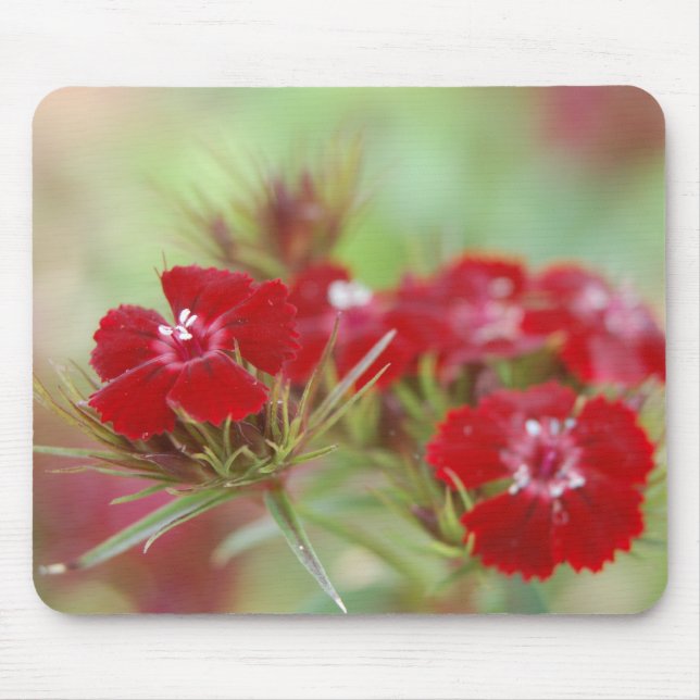 Red Floral Garden Mousepad (Front)