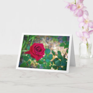 Red Floral Rose Portrait Card