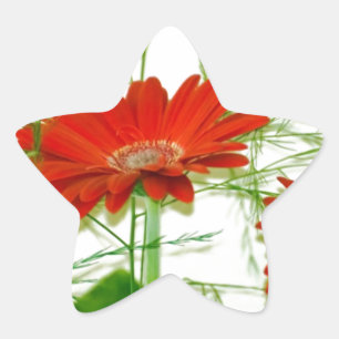 Red Floral Star Sticker