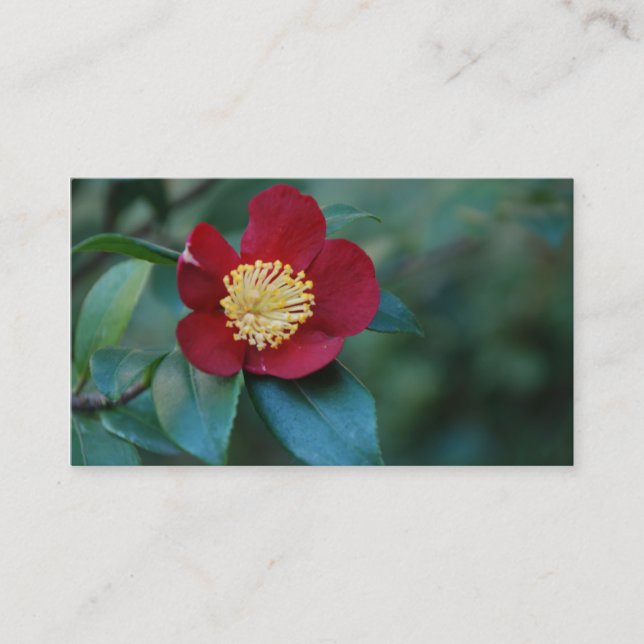 Red Flower Business Card (Front)