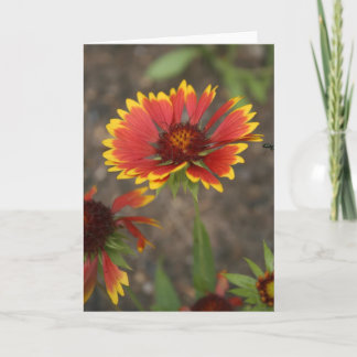 Red Flower Card