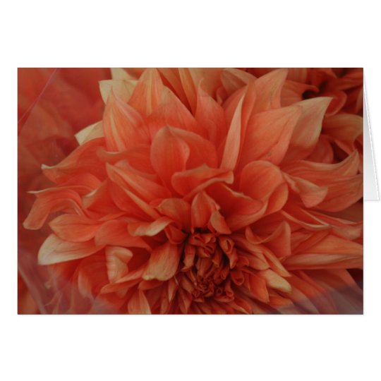 Red Flower card *Blank
