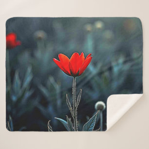 Red Flower Dark Night Solitude Art Sherpa Blanket