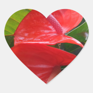 Red Flower Heart Sticker