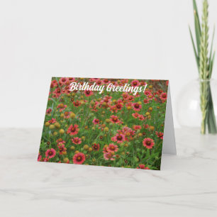 Red Flower Meadow Wildflower Birthday Card