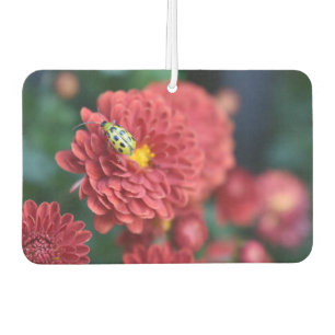 Red Flower Nature Photography Beetle Insect Bug Car Air Freshener
