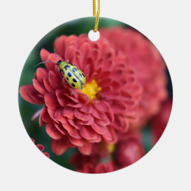 Red Flower Nature Photography Beetle Insect Bug Ceramic Tree Decoration (Front)