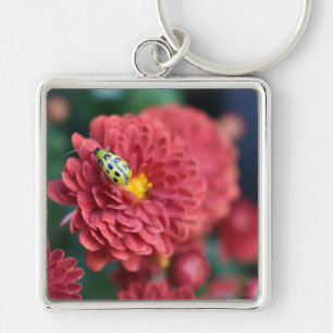 Red Flower Nature Photography Beetle Insect Bug Key Ring