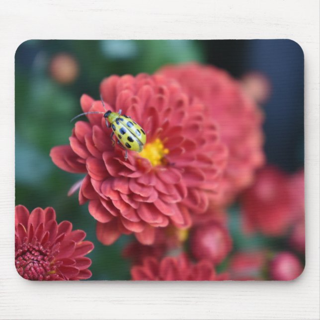Red Flower Nature Photography Beetle Insect Bug Mouse Pad (Front)