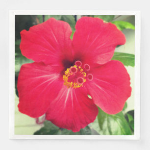Red Flower of Hibiscus Rosa-sinensis Napkin