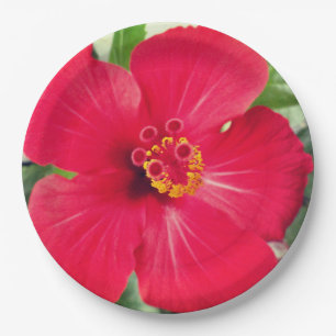 Red Flower of Hibiscus Rosa-sinensis Paper Plate