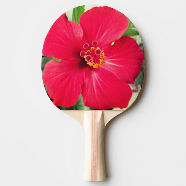 Red Flower of Hibiscus Rosa-sinensis Ping Pong Paddle (Front)