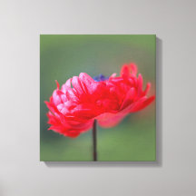 Red flower painting effect close up