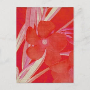 Red Flower Postcard