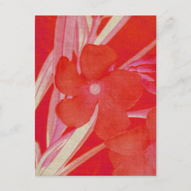 Red Flower Postcard (Front)
