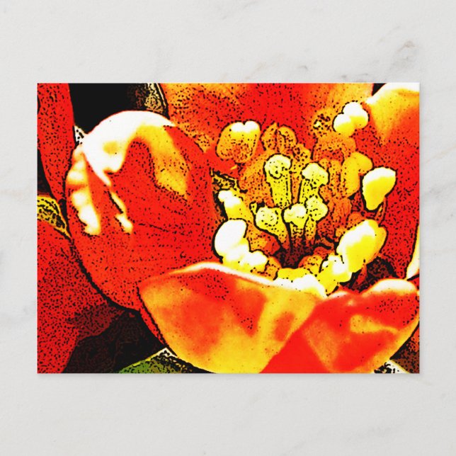 Red flower postcard (Front)
