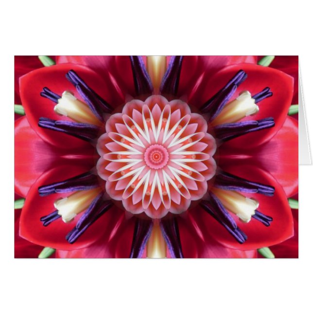 Red Flower Star Mandala Card (Front Horizontal)