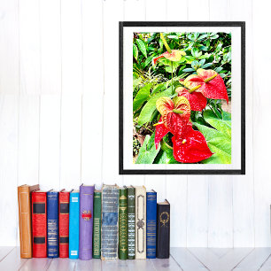 Red Flower Tropical Garden Poster
