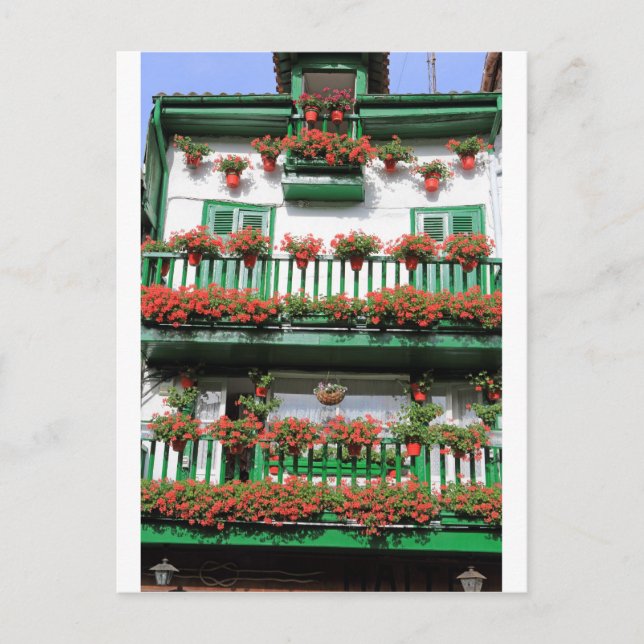 Red flowering pot plants quaint Spanish balcony Postcard (Front)