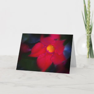 Red Flowering Vine Card